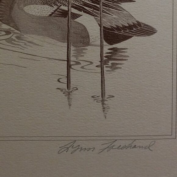 Vintage American Waterfowl Etching/Print Lynn Forehand 4 of 5 Cottagecor… - Picture 4 of 7
